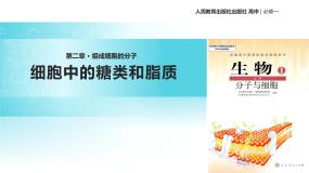 人教版 (新课标)必修1《分子与细胞》第4节 细胞中的糖类和脂质教学课件ppt