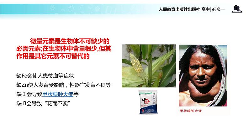 【教学课件】《细胞中的元素和化合物》(人教)第5页