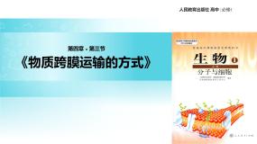 生物必修1《分子与细胞》第3节 物质跨膜运输的方式教学ppt课件