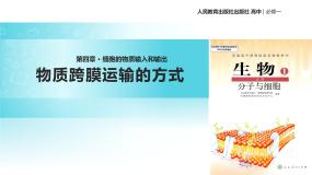 高中生物人教版 (新课标)必修1《分子与细胞》第3节 物质跨膜运输的方式教学课件ppt