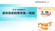 2020-2021学年第3节 遗传信息的携带者──核酸教学课件ppt