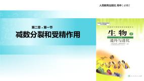 人教版 (新课标)必修2《遗传与进化》本节综合教学ppt课件