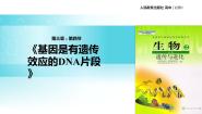 生物人教版 (新课标)第4节 基因是有遗传效应的DNA片段教学课件ppt