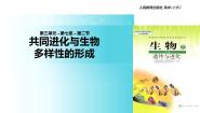 高中三 共同进化与生物多样性的形成教学ppt课件