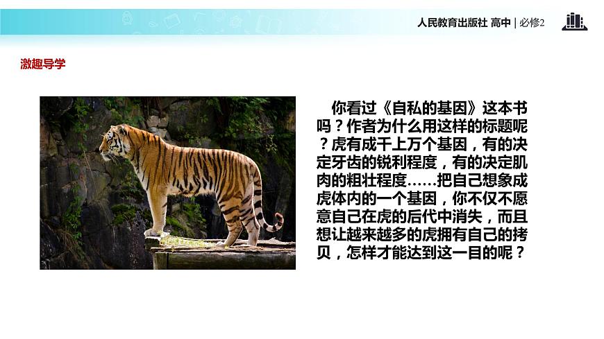 發(fā)現(xiàn)式教學(xué)【教學(xué)課件】《現(xiàn)代生物進化理論的主要內(nèi)容》(人教)第2頁