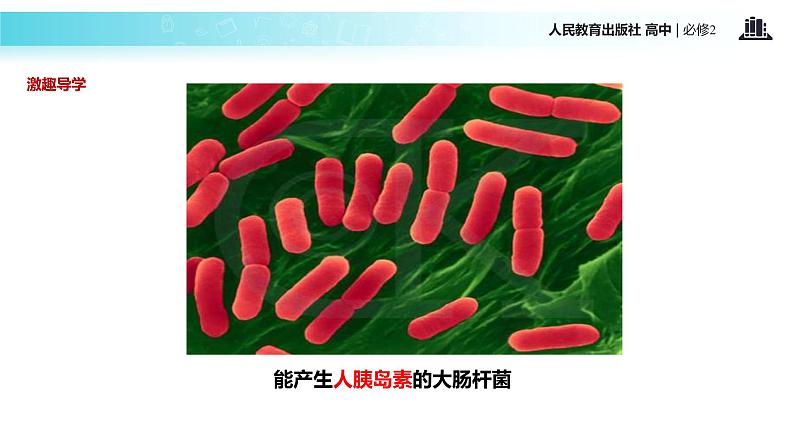 发现式教学【教学课件】《基因工程及其应用》(人教)02
