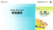 人教版 (新课标)第3节 伴性遗传教学课件ppt