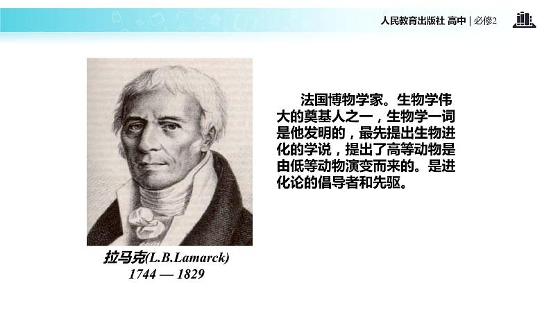 发现式教学【教学课件】《现代生物进化理论的由来》(人教)第6页