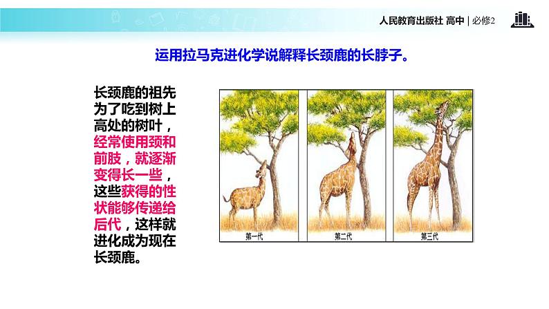 发现式教学【教学课件】《现代生物进化理论的由来》(人教)第8页