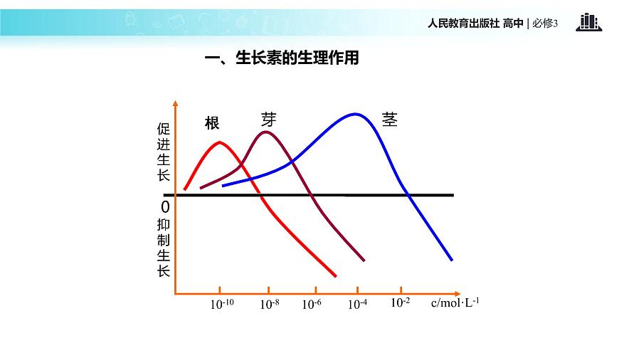 發(fā)現(xiàn)式教學(xué)【教學(xué)課件】《生長(zhǎng)素的生理作用》（人教）第6頁(yè)