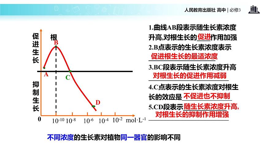 發(fā)現(xiàn)式教學(xué)【教學(xué)課件】《生長(zhǎng)素的生理作用》（人教）第7頁(yè)