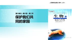 高中生物人教版 (新课标)必修3《稳态与环境》第2节 保护我们共同的家园教学课件ppt