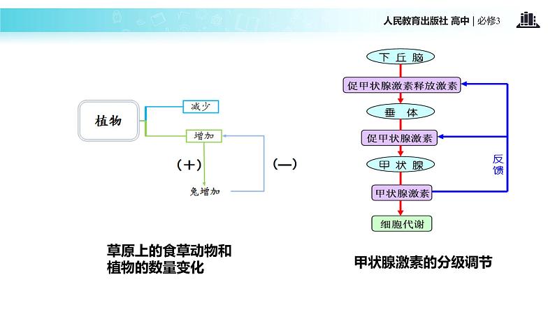 发现式教学【教学课件】《生态系统的稳定性》(人教)06