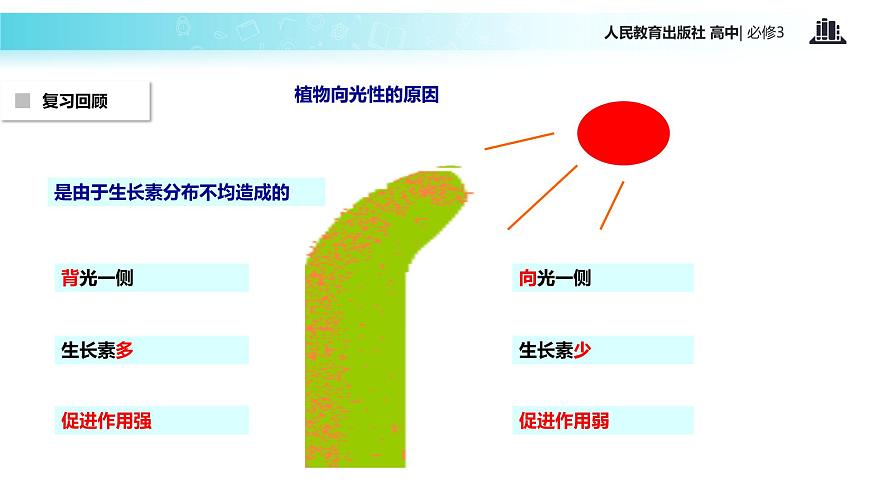 【教學(xué)課件】《生長素的生理作用》（人教）第3頁
