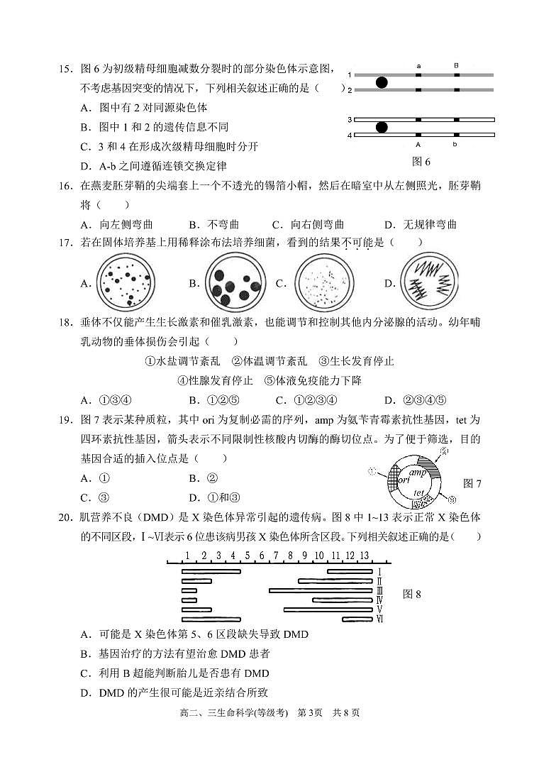上海市2021届浦东新区高考生物二模试卷含答案03
