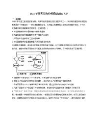 2021年高考生物冲刺模拟训练（2）