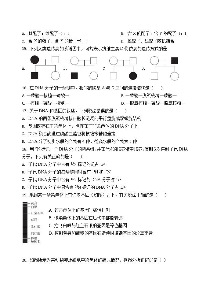 河北省衡水市2020-2021學(xué)年高一下學(xué)期期中考試生物試題（word版 含答案）第3頁