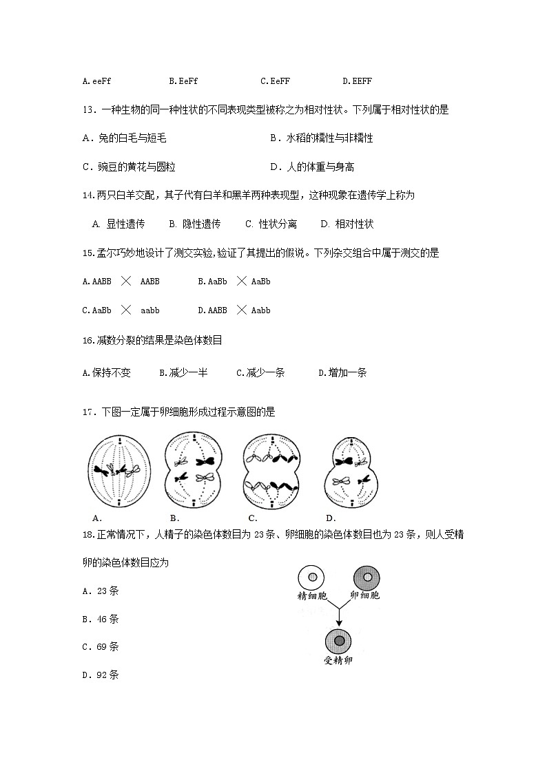 广东省茂名市电白区2020-2021学年高一下学期合格性考试期中测试生物试题(word版 含答案)03