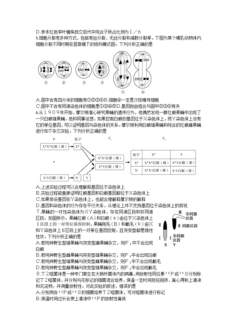 山东省聊城市2020-2021学年高一下学期期中考试生物试题(word版 含答案)02