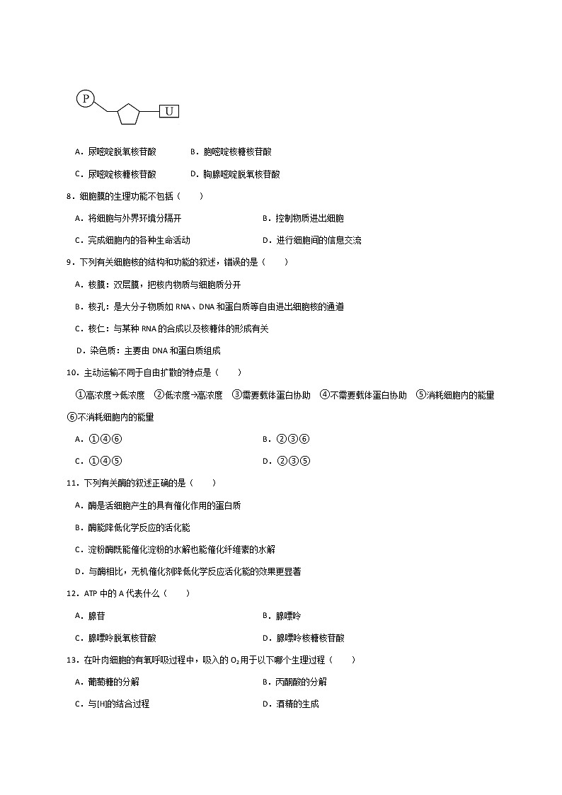 云南省水富县2020-2021学年高二下学期期中考试生物(文)试题(word版 含答案)02