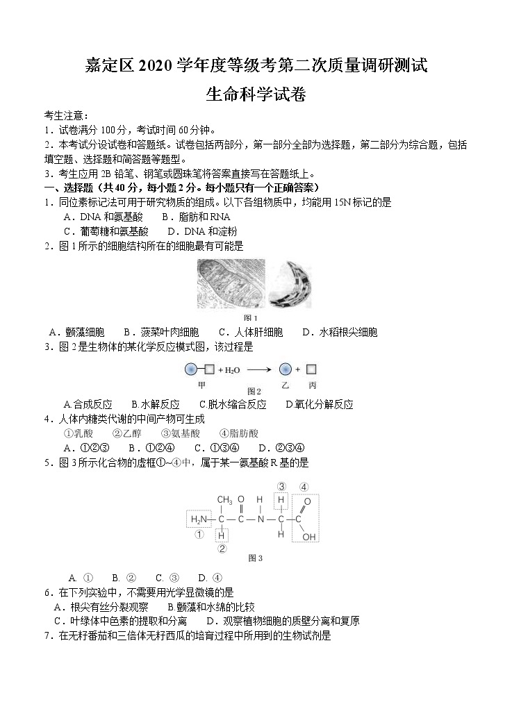 上海市嘉定区2021届高三下学期4月第二次质量调研测试（二模）生物试题（含答案）01