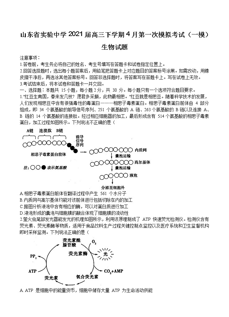 山东省实验中学2021届高三第一次模拟考试 生物(含答案)第1页