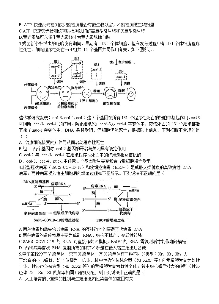 山东省实验中学2021届高三第一次模拟考试 生物(含答案)第2页