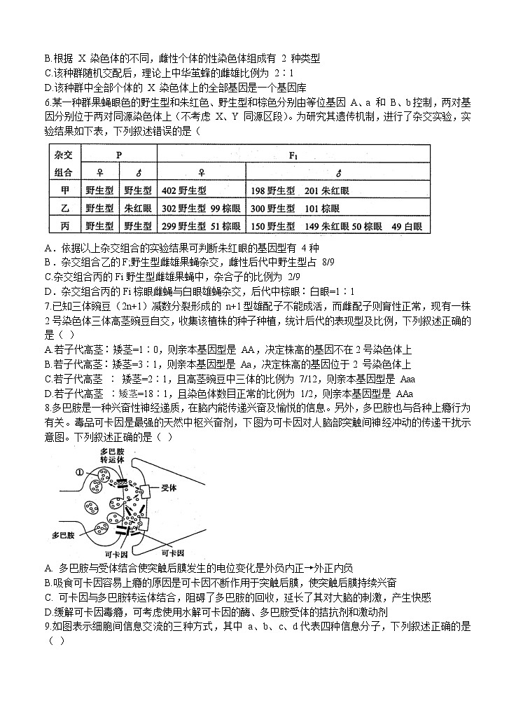 山东省实验中学2021届高三第一次模拟考试 生物(含答案)第3页