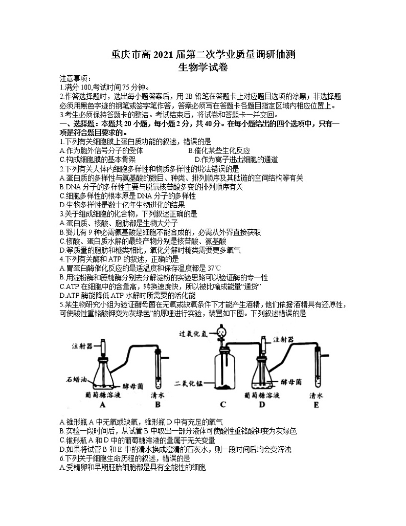 重庆市2021届高三下学期4月第二次学业质量调研抽测生物试题+答案01