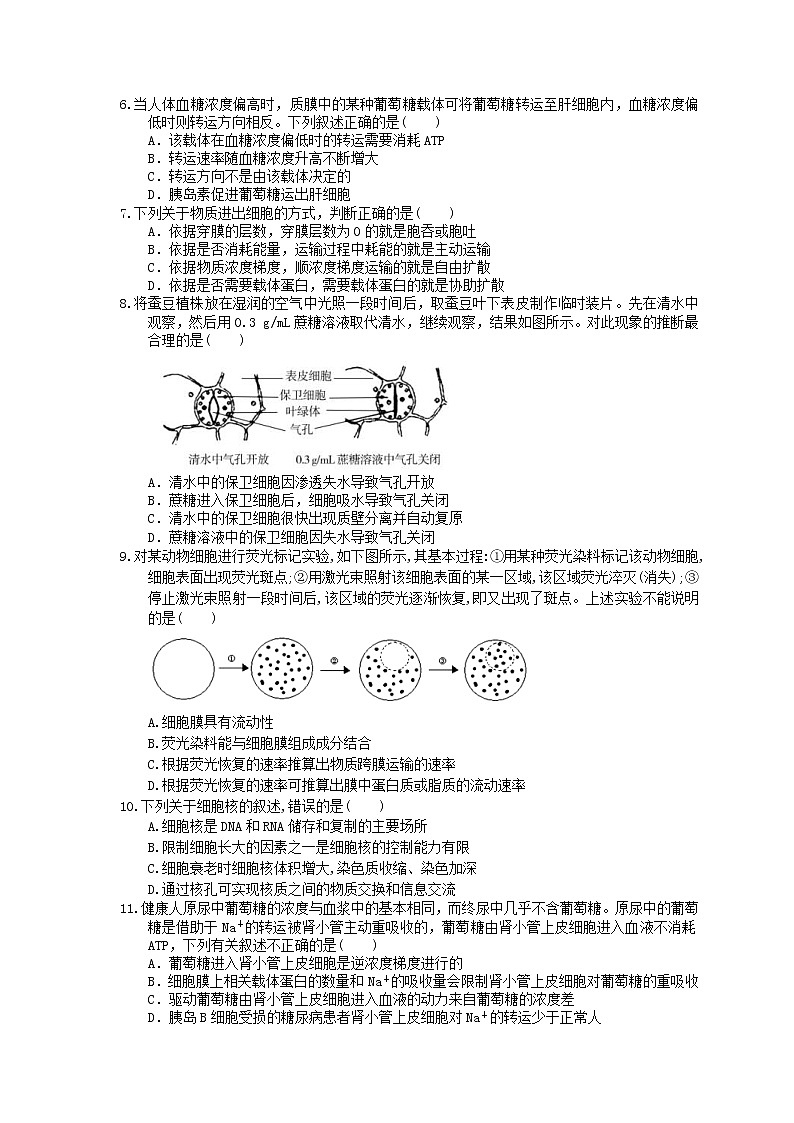 2021年高考生物三轮冲刺《细胞的物质输入和输出》练习三(含答案)02