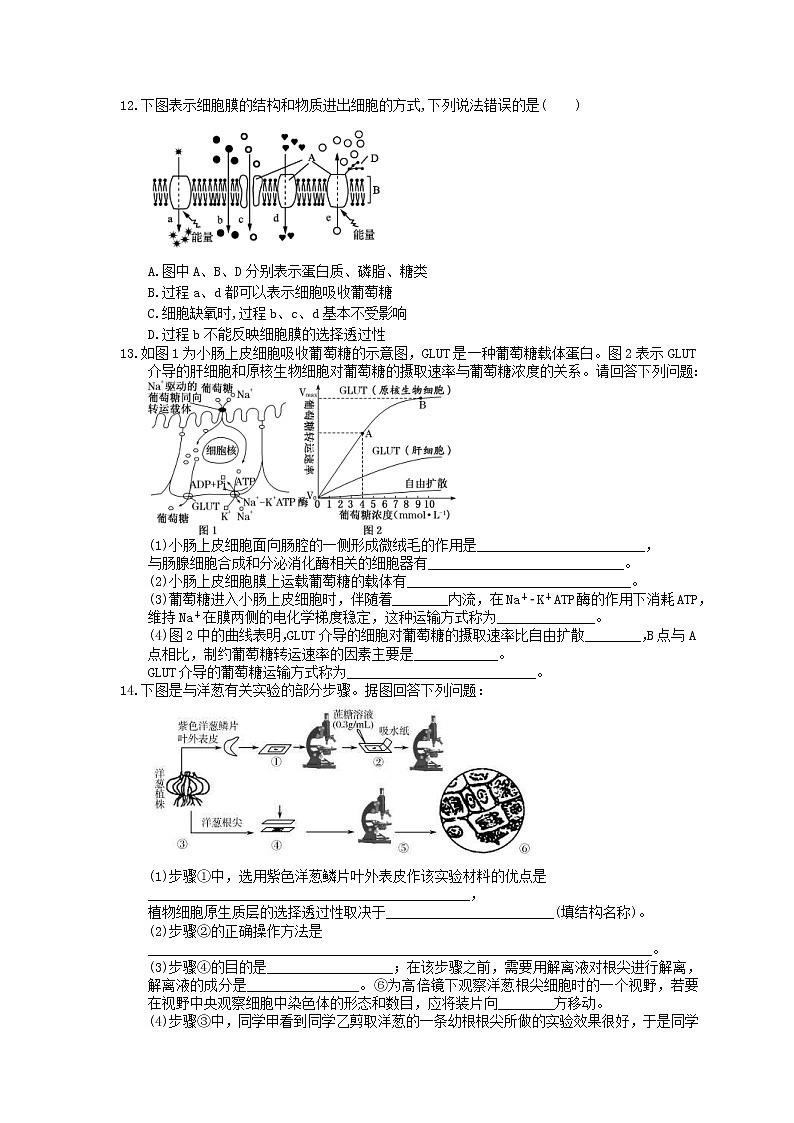 2021年高考生物三轮冲刺《细胞的物质输入和输出》练习三(含答案)03