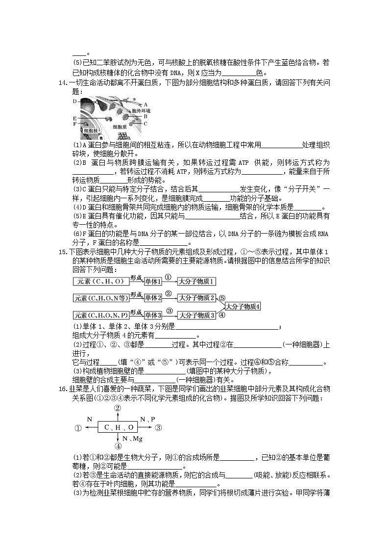 2021年高考生物三轮冲刺《细胞的分子组成》练习三(含答案)03