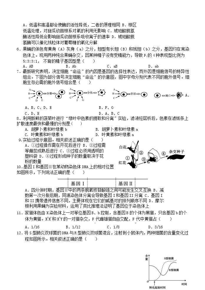 江苏省启东中学2020-2021学年高一下学期第二次月考生物试卷+答案02