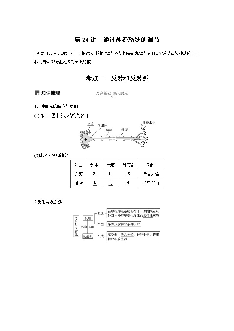 高考生物专题复习第24讲　通过神经系统的调节01