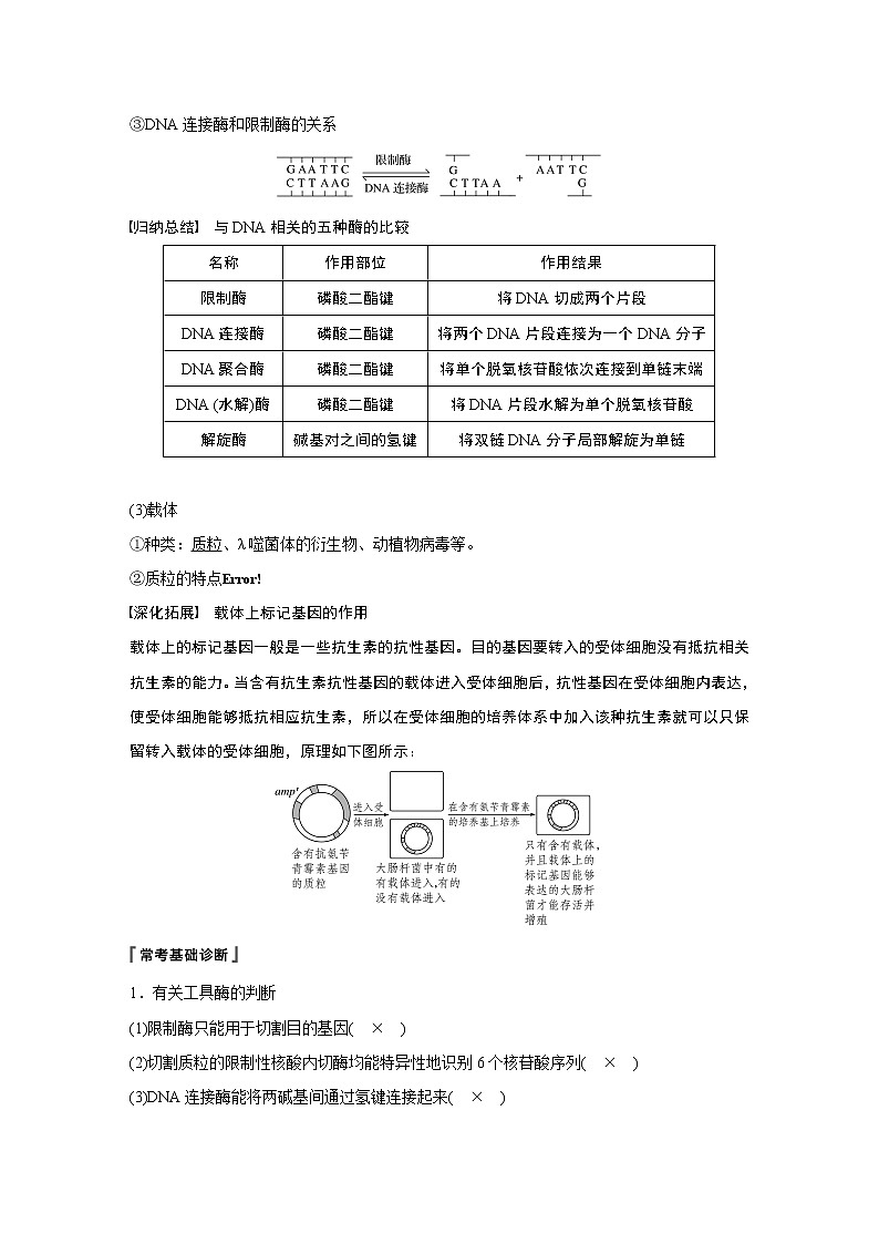 高考生物专题复习第34讲 基因工程第2页