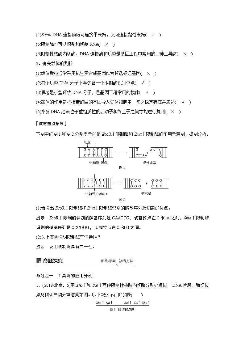 高考生物专题复习第34讲 基因工程第3页