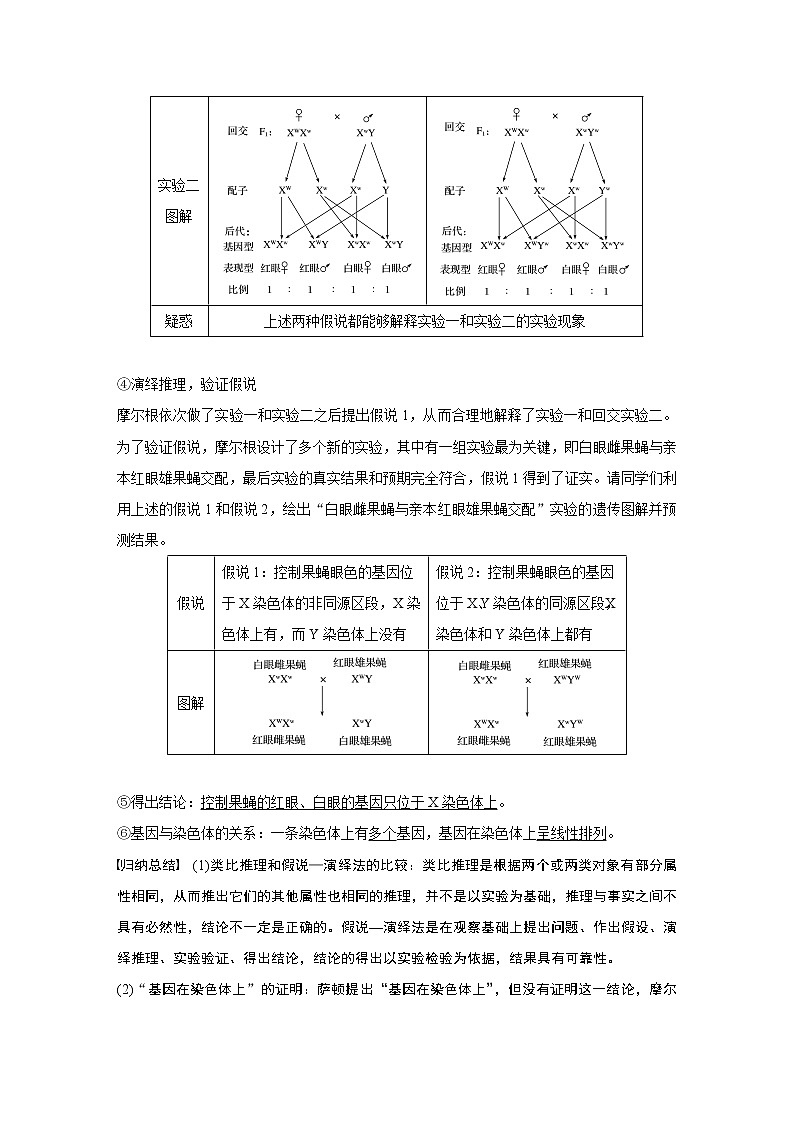 高考生物专题复习第16讲 基因在染色体上、伴性遗传和人类遗传病第3页