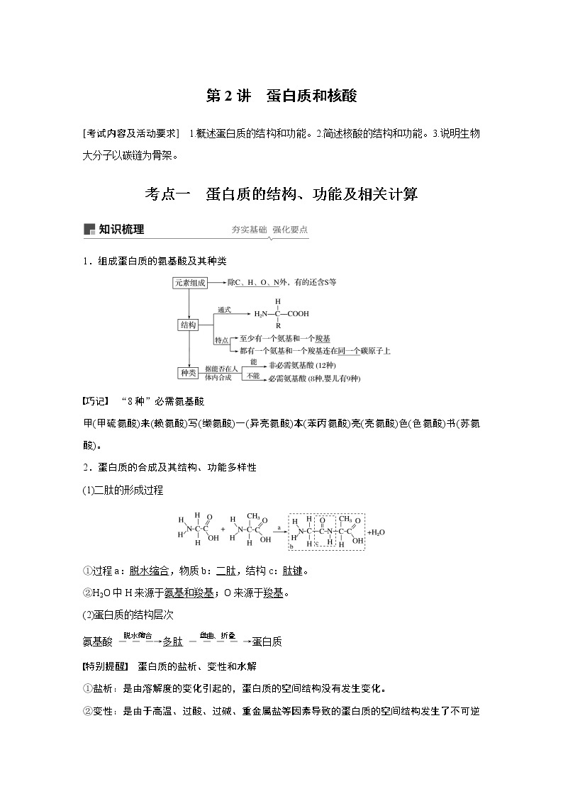 高考生物专题复习第2讲　蛋白质和核酸01