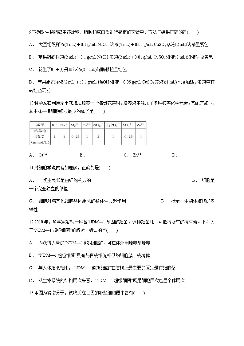 新疆乌鲁木齐市第二十中学2020-2021学年高一上学期段考（期中）生物试题+答案03