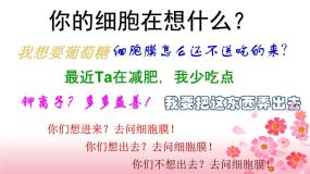 人教版 (新课标)必修1《分子与细胞》第四章 细胞的物质输入和输出第3节 物质跨膜运输的方式教学演示课件ppt