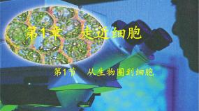 人教版 (新课标)必修1《分子与细胞》第1节 从生物圈到细胞示范课课件ppt