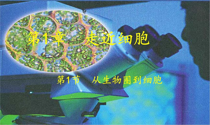 高中生物人教版 (新課標) 必修1課件  1.1從生物圈到細胞第1頁