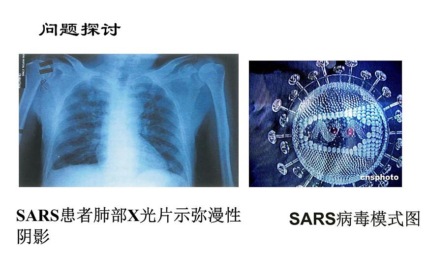 高中生物人教版 (新課標) 必修1課件  1.1從生物圈到細胞第2頁
