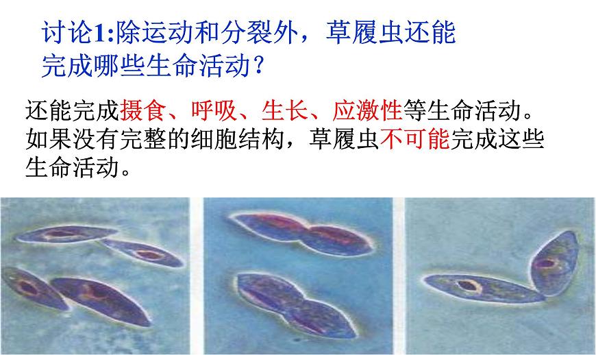 高中生物人教版 (新課標) 必修1課件  1.1從生物圈到細胞第7頁