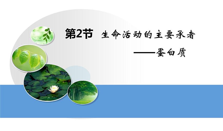 高中生物人教版 (新課標(biāo)) 必修1課件  2.2生命活動(dòng)的主要承擔(dān)者—蛋白質(zhì)第1頁