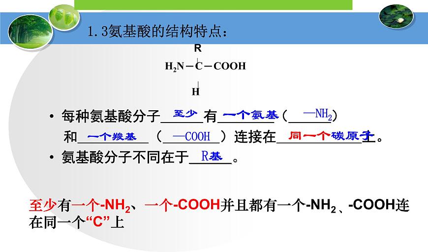 高中生物人教版 (新課標(biāo)) 必修1課件  2.2生命活動(dòng)的主要承擔(dān)者—蛋白質(zhì)第7頁
