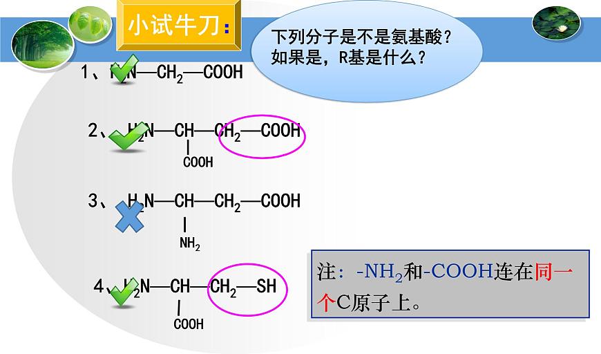 高中生物人教版 (新課標(biāo)) 必修1課件  2.2生命活動(dòng)的主要承擔(dān)者—蛋白質(zhì)第8頁