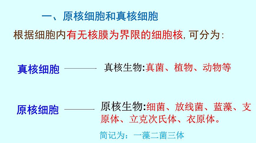 高中生物人教版 (新課標(biāo)) 必修1課件  1.2.2細胞的多樣性和統(tǒng)一性第7頁