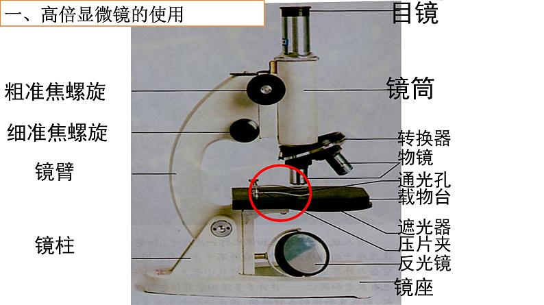 高中生物人教版 (新课标) 必修1课件 1.2.1 细胞的多样性和统一性02