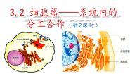 高中生物人教版 (新课标)必修1《分子与细胞》第2节 细胞器──系统内的分工合作授课ppt课件